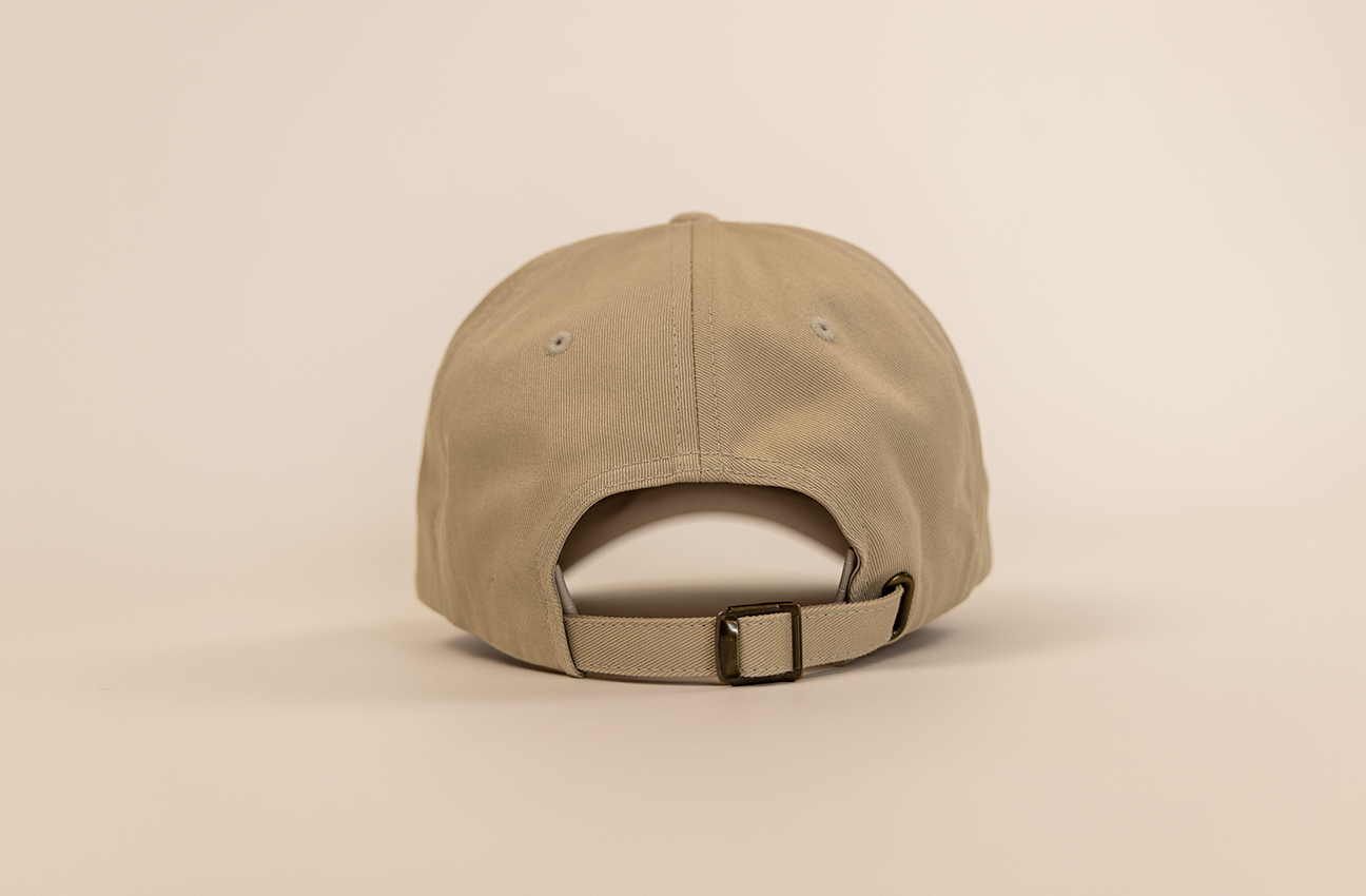 Racing Corgi Dad Hat